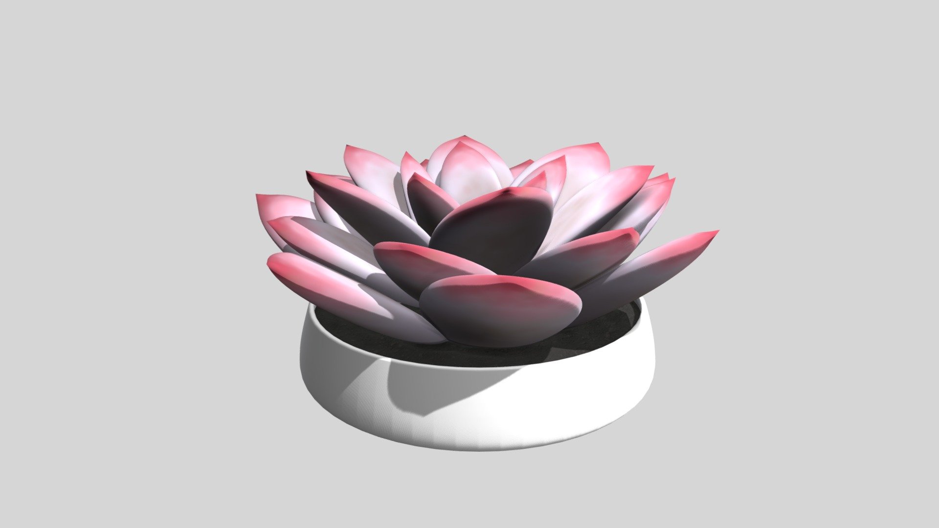 Potted Succulent Plant ready to go into your next project.  Created with 3ds Max and Vray - Potted Succulent Plant - Buy Royalty Free 3D model by Mr. Adams (@UncleAcid82) 3d model
