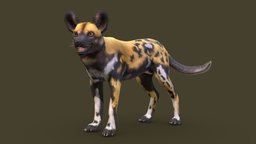 Lycaon dog, pet, jackal, hyena, coyote, thylacine, lycaon