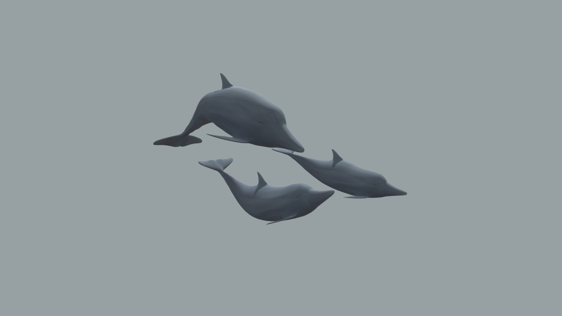 Delfini - Download Free 3D model by riccardoruggiero 3d model