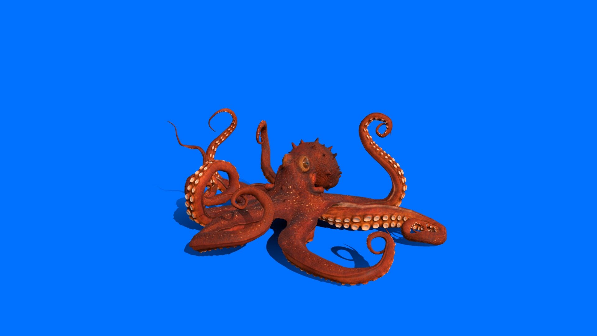 a Red giant octopus - Octopus - Download Free 3D model by AIUM2 (@Yapoco) 3d model
