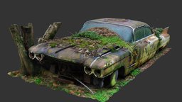 Garden Cadillac (Raw Scan) raw, abandoned, project, forest, plants, pine, 3d-scan, vintage, cadillac, rusty, collection, ruined, rural, old, moss, decay, folk, weeds, overgrown, urbex, photogrammetry, vehicle, car, city