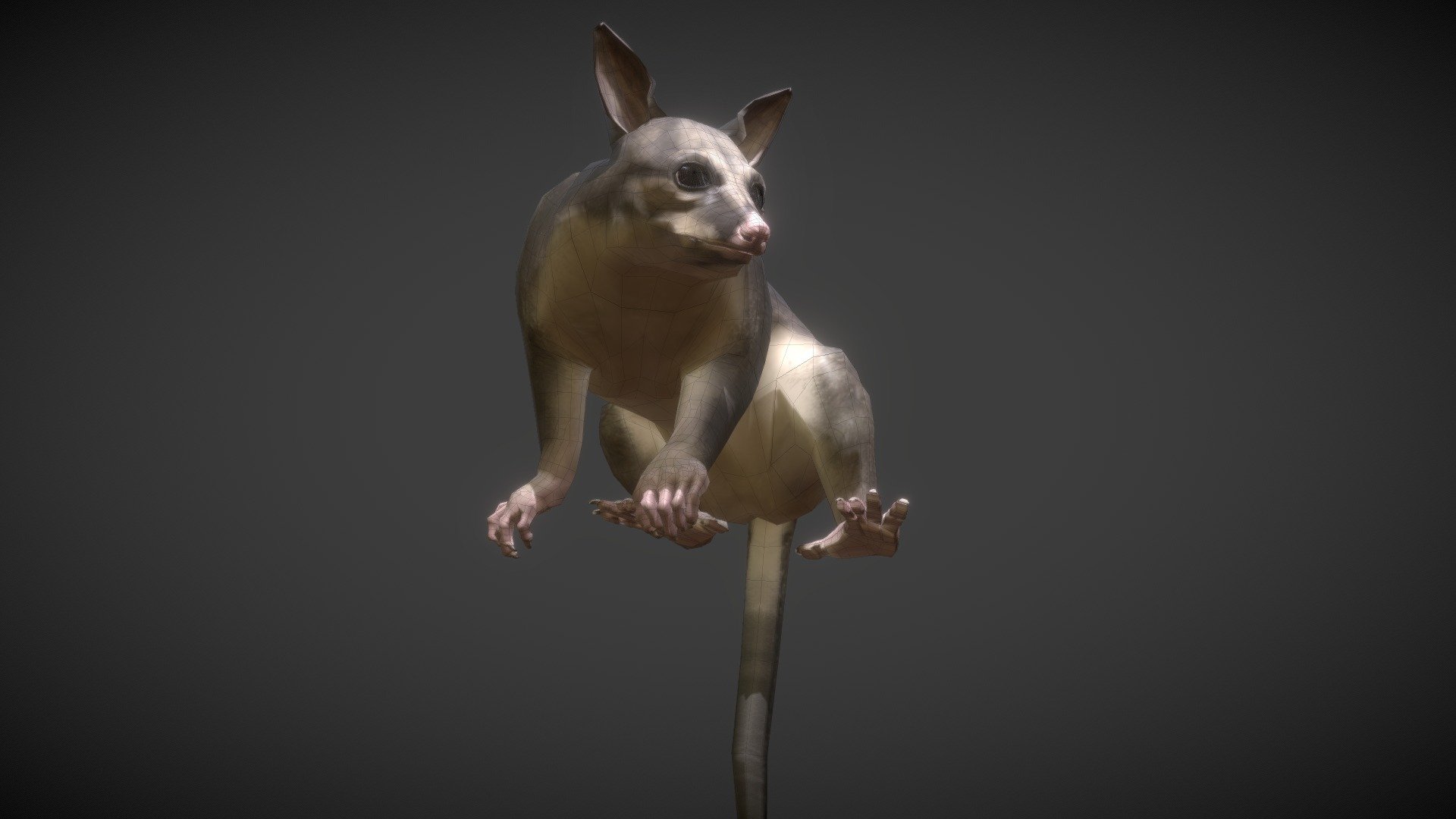 Possum mesh with baked animation in FBX format.
Possum used for this project https://vimeo.com/454182425 - Australian Brushtail Possum - Buy Royalty Free 3D model by gamoo 3d model
