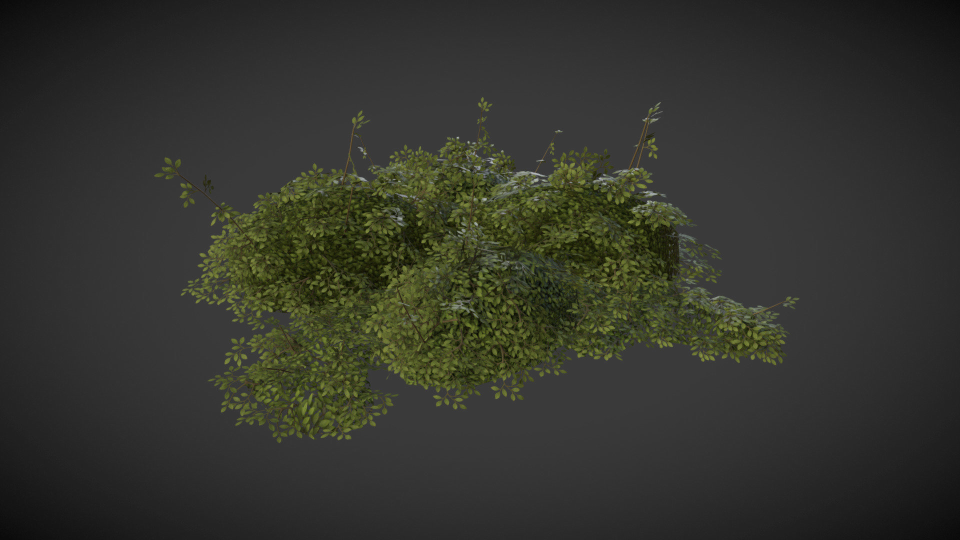 A simple bush object I made for Rift 3d model