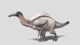 Deinocheirus t-rex, paleontology, paleoart, jurassicpark, deinocheirus, ornithomimus, model, animated, dinosaur