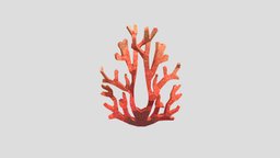 coral corals, 3d