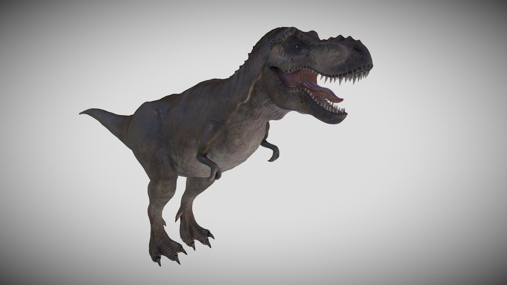 T-rex 3d model.
The main body texture is 8K
Others 1k.
Hope you like it 3d model