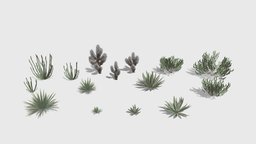 Desert Shrubs plants, desert, agave, cholla, rdr2, ocotillo, treeit, creosote, yacca