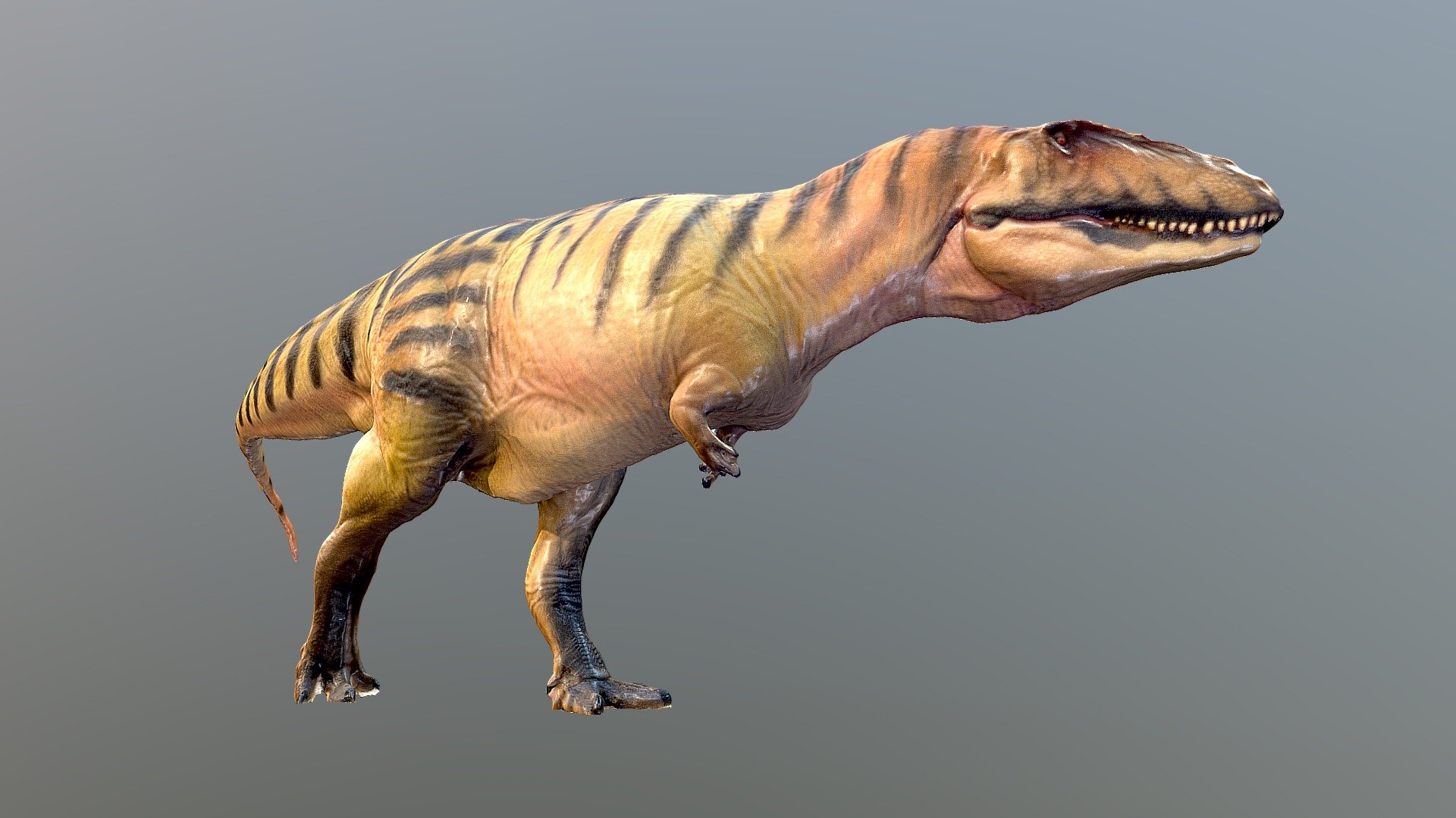 a photoscanned Carcharodontosaurus model
&ldquo;Gamba