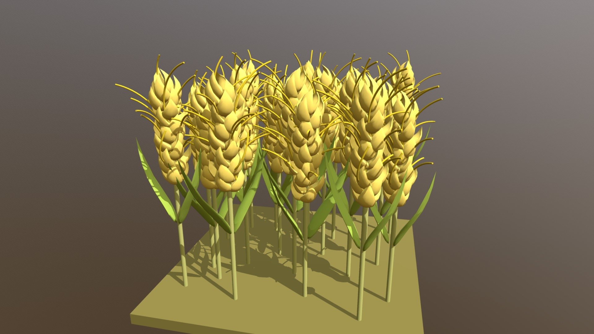 Wheat - 3D model by xMx 3d model