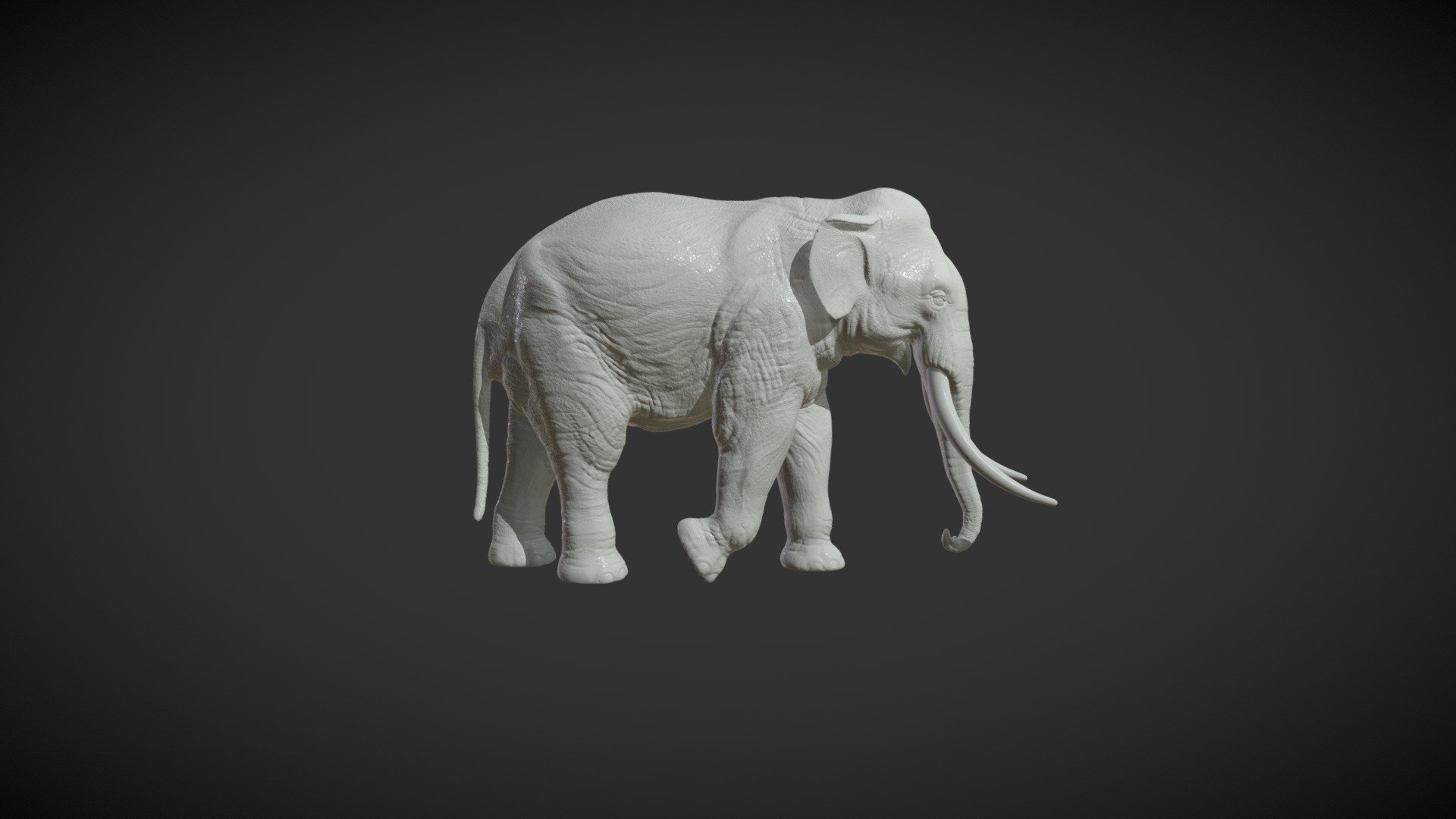Print ready model of Elephant, can be used for CNC carving.

Measure units are millimeters , it is about 5 cm in height.

Mesh is manifold, no holes, no bad contiguous edges.

Hollow and solid versions of files are available:

1) Elephant_Pose_solid. (.blend, .obj, .3ds, .fbx, .dae) Faces : 742926 (tris) ; volume: 29.75 cm3

2) Elephant_Pose_hollow. (.blend, .obj, .3ds, .fbx, .dae) Faces :  779652 (tris) ; volume: 7.5 cm3

Wall thickness for hollow version is about 1mm. 

Each file contains one objects, no loose parts 3d model