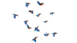 animated flock birds lowpoly art style flying, bird, birds, animals, polygonal, urban, hummingbird, lowpolygon, sparrow, tits, lowpolyart, feed, flock, flocking, starling, art, fly, city, animal, animated, polygon