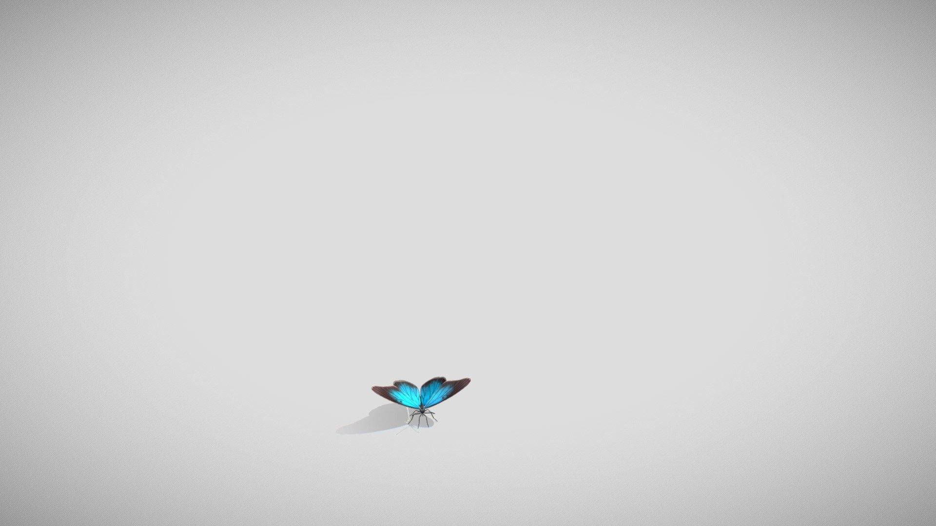 Simple Low-poly Blue Butterfly for use as supplemental scene content 3d model