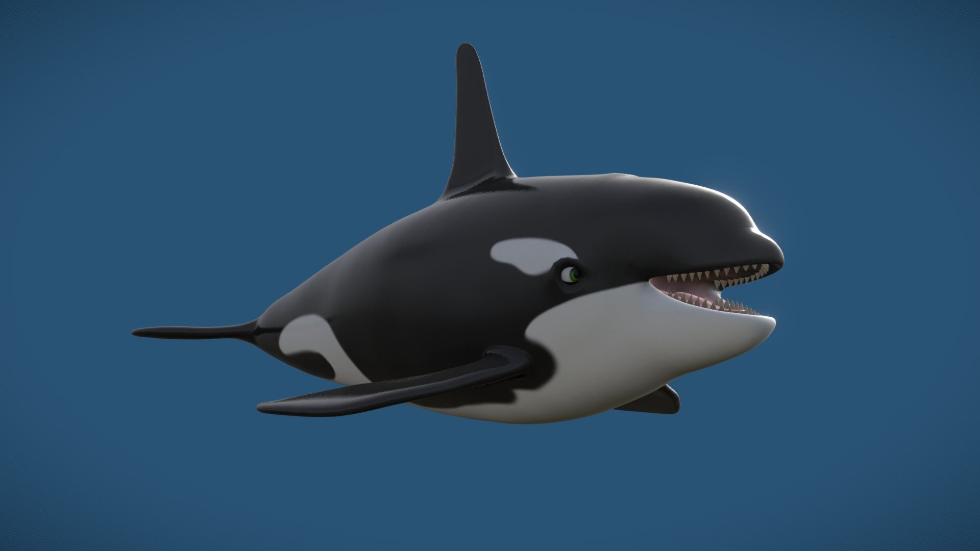 Killer whale in the Disney Pixar style of cartoon, for animation and reference, based on the Sea World's Tilikum - Cartoon Killer Whale Orca - Buy Royalty Free 3D model by dquintino 3d model