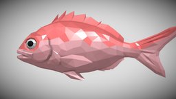 [Low Poly] RedSeabream fish, fishing, ocean, seabream, animals-cute, blender, lowpoly, low, poly, animal, animation, animated, rigged, sea