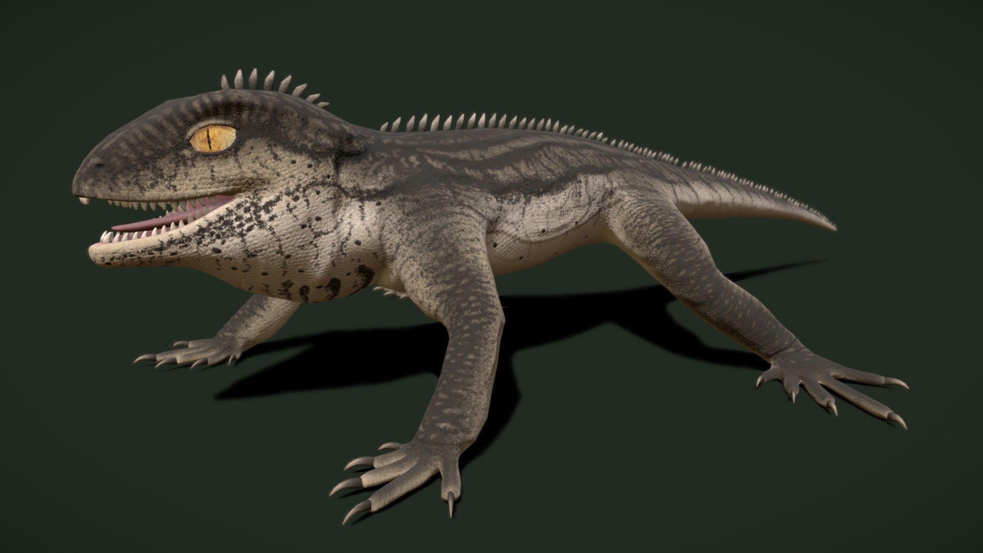 Brachyrhinodon is an extinct genus of sphenodontian from the Late Triassic Lossiemouth Sandstone of Scotland. It is related to the tuatara, the only member of its order that is not extinct. I worked closely with paleontologists to create this.

Renders and more on my Artstation: https://www.artstation.com/artwork/ZG1AAZ - Brachyrhinodon - 3D model by Freeflier 3d model
