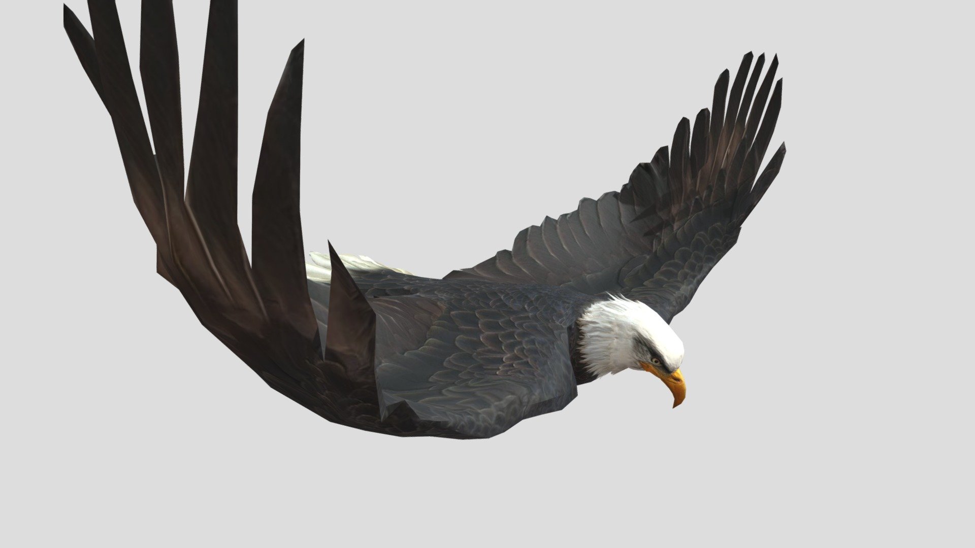 this models is free and i found it in mixamo and it is FBX - my animated eagle - Download Free 3D model by dinomaster 3d model