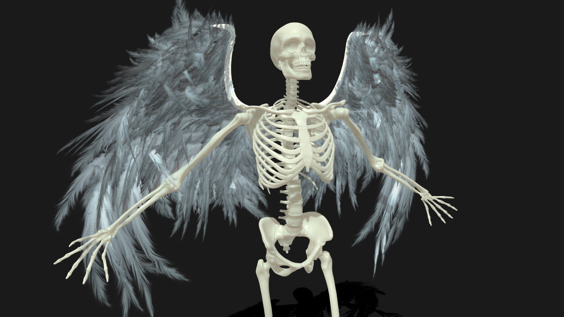 Skeleton - Skeleton 1 - 3D model by AR3X (@cg-girls) 3d model