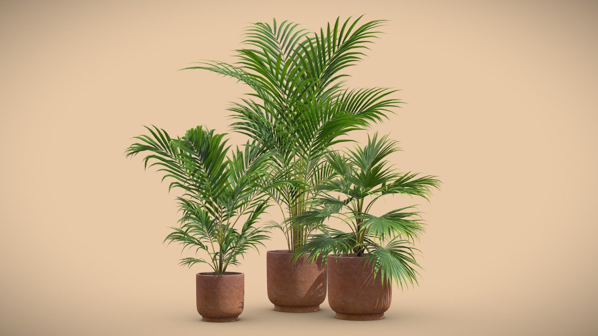 Indoor Plants Pack 34

This selection of indoor exotic plants will provide a nice touch to your interior renders. 




Areca Palm

Archontophoenix Alexandrae

Livistona Chinensis

4k Textures




Vertices  49 342

Polygons  33 094

Triangles 65 987
 - Indoor Plants Pack 34 - Buy Royalty Free 3D model by AllQuad 3d model