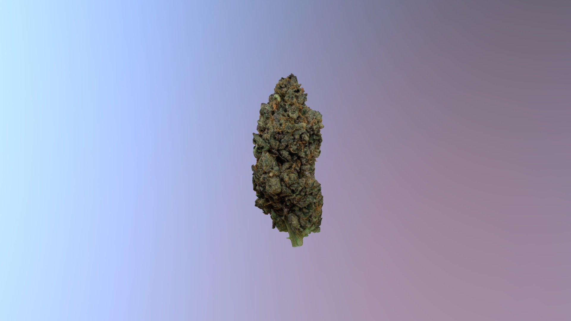 Top Shelf herb. 

Created with RealityCapture 3d model