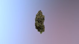Weed flower, weed, herb, marijuana