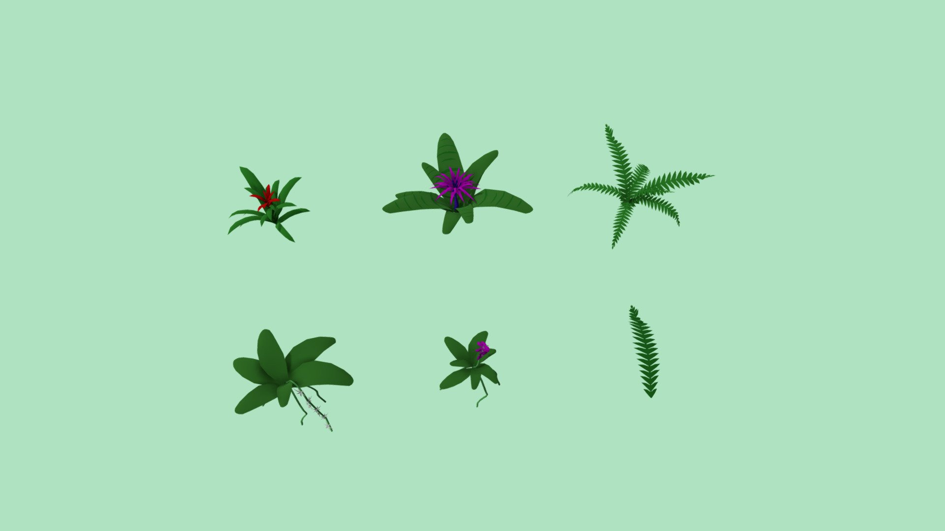 Populate a lowpoly or cartoon jungle scene with these lush rainforest plants! Both bromelias and orchids have separate flower meshes, and fern has a separate leaf to add variety. These models are part of my Poly Jungle package in the Unity Asset Store 3d model