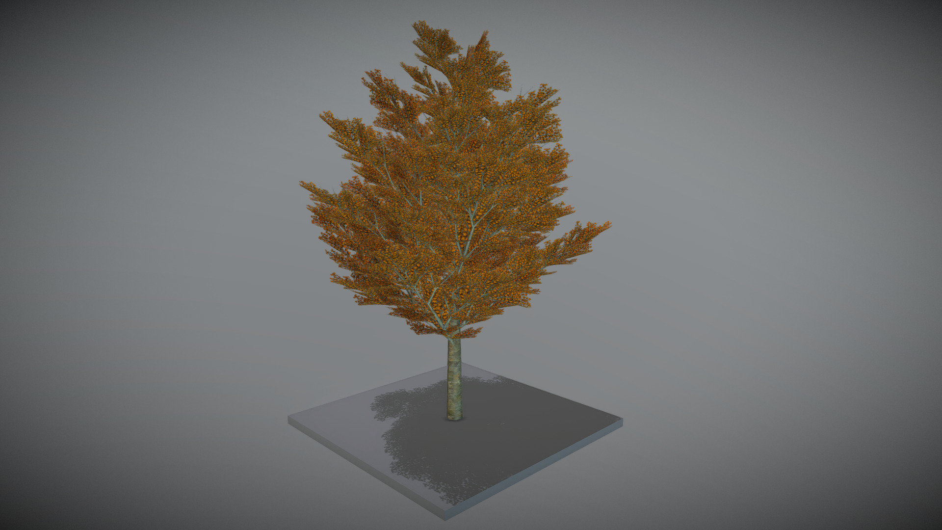 21 Meter Platane im Herbst.



Aus dem VIS-All 3d-baeume-4

 



Modelliert und texturiert mit Blender 3d model