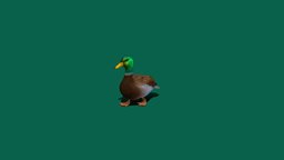 Duck_Walk (Free) animals, duck, wildlife, nyilonelycompany