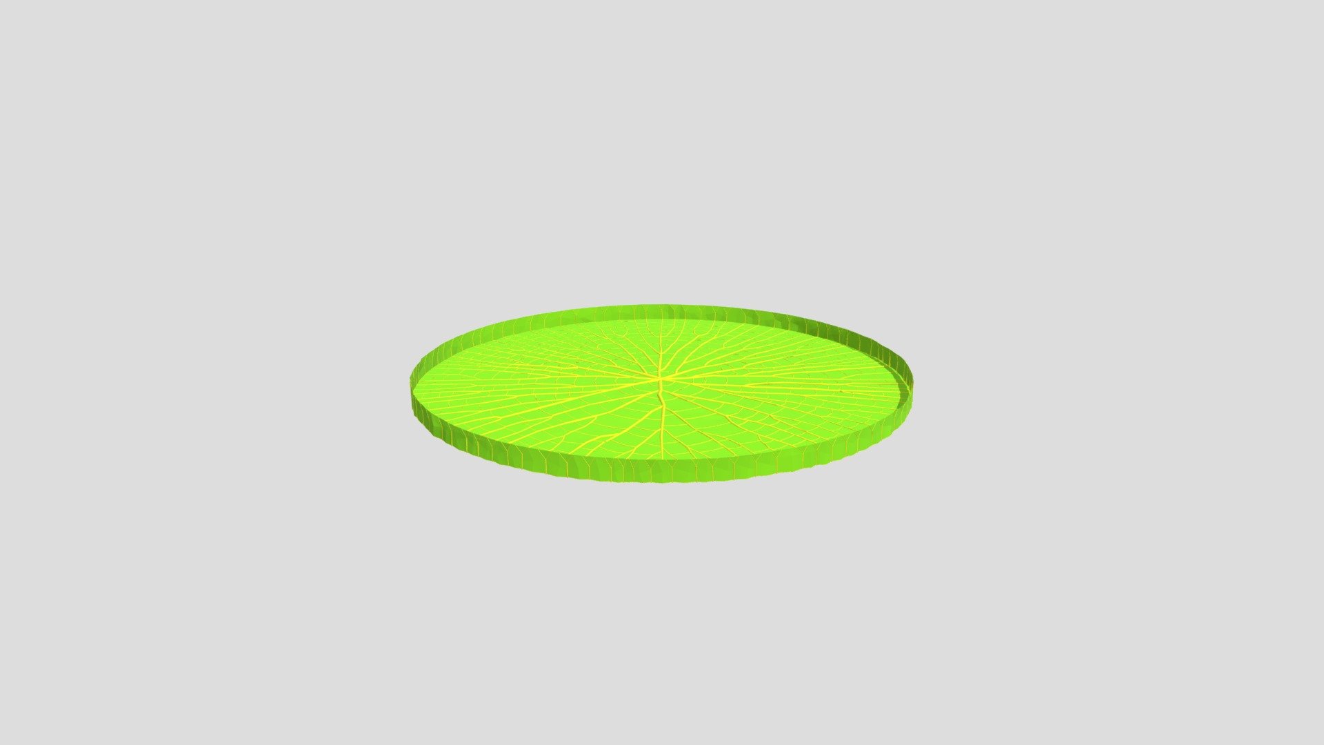 Victoria amazonica 
about 2.8 meters in diameter - giant water lily - Download Free 3D model by Skuft 3d model