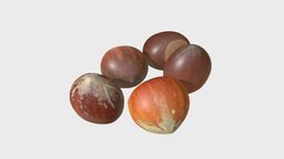 Hazelnuts food, raw, organic, shell, nut, hazelnut, healthy, substancepainter, substance