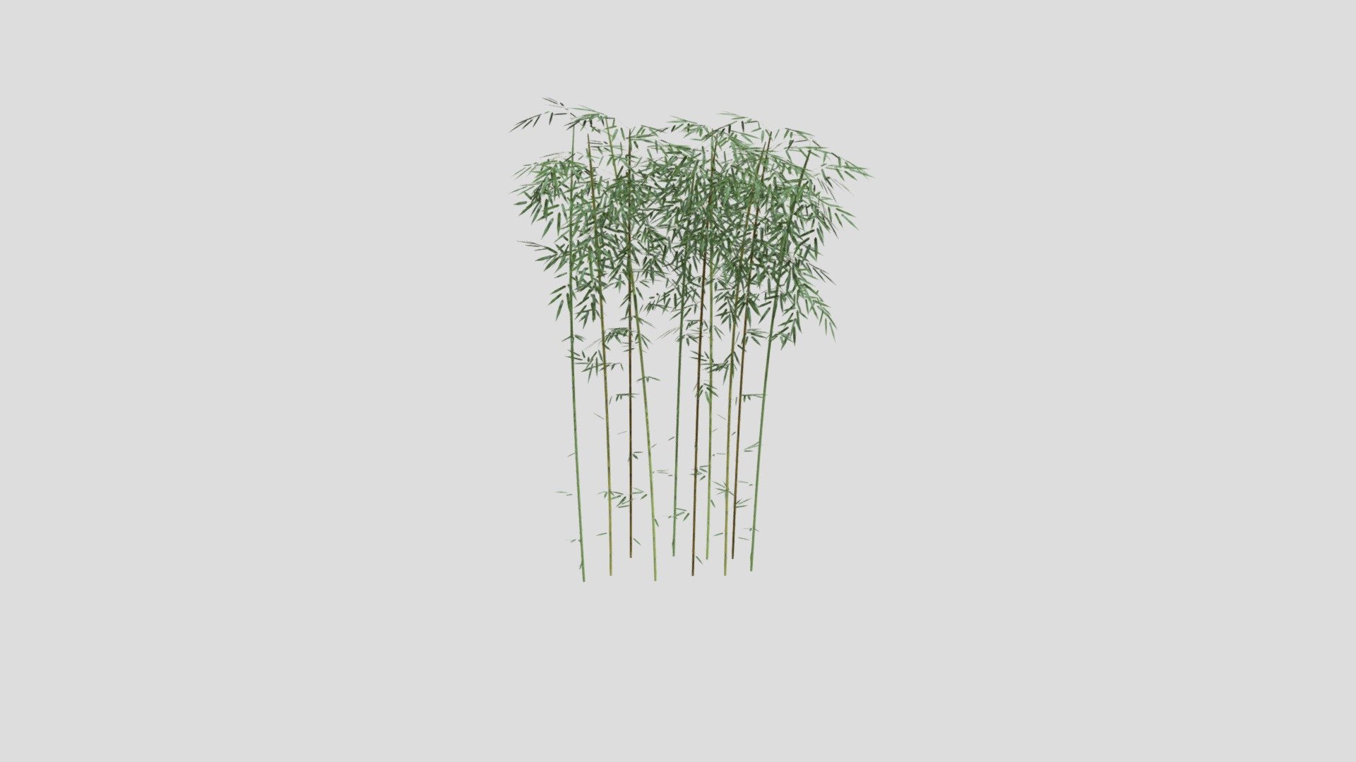 Beautiful bamboo model to integrate in your virtual and real environment! BY-SA. By Scopia at https://resources.blogscopia.com/category/models/. More models (download, AR, VR) here : https://1-3D.com &hellip; - Bamboo - Download Free 3D model by 1-3D.com 3d model