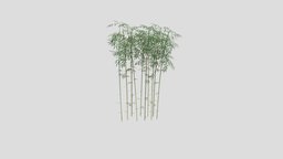 Bamboo obj, bamboo, sweethome3d, low, poly, design