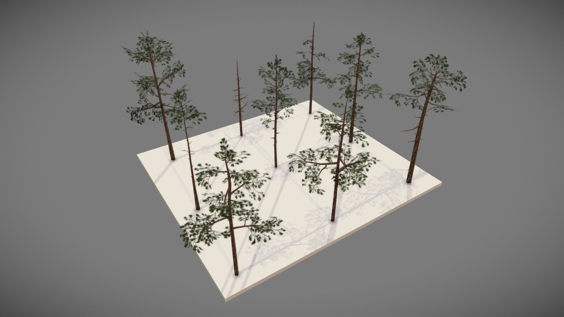 This is a collection of 9 low poly pine tree models 3d model