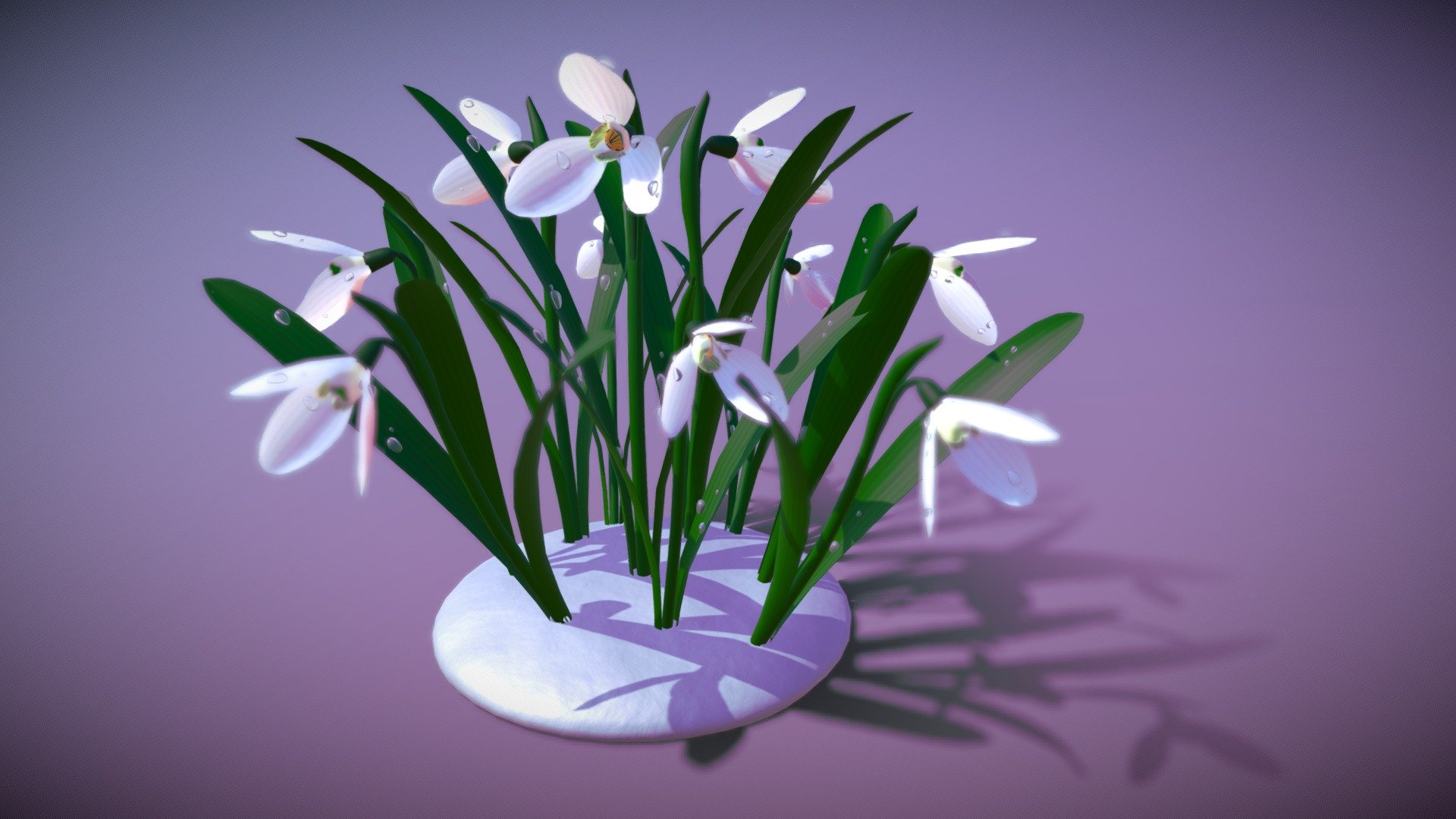 3d low-poly model
made in Blender 3.21
rigged and animated in fbx and blend files
in blend file 3 there is some drops made with particle system
actualy model is one flower others are instance in Blenders files - spring flowers galanthus - Buy Royalty Free 3D model by pinotoon 3d model
