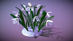 spring flowers galanthus plant, flower, snow, spring, drop, nature, blossom, galanthus, animation, rigged