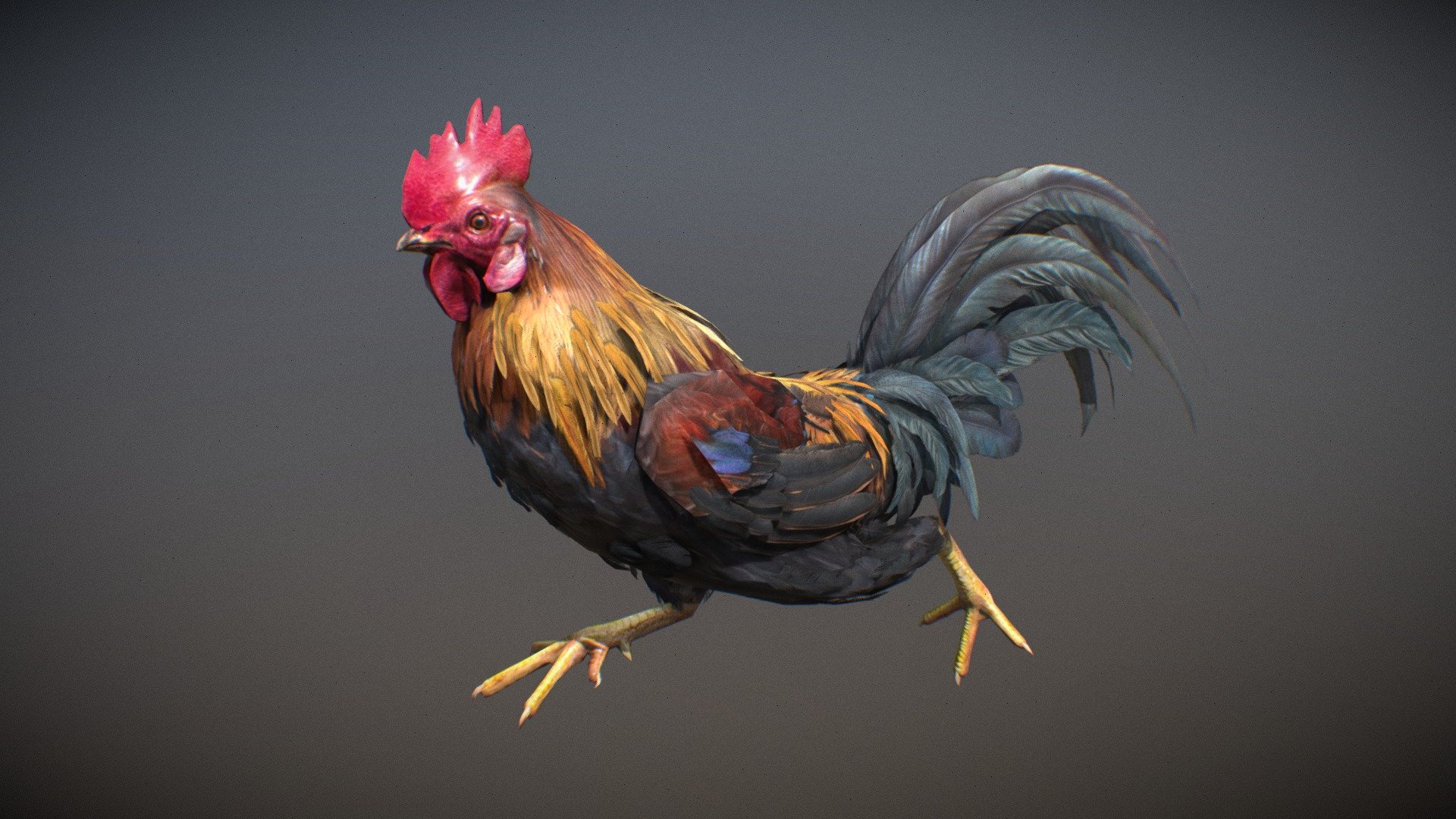 Animated realistic male Chicken  with 6 animations authored at 60fps and 4k textures.

Note: Preview uses lower-res mesh (LOD1), 1K textures and only a few of the full set animations.

Get our animal in full detail, 4K textures and check the full list of animations.

Features:


male Chicken model
Animations authored at 60 fps
All animations available with and without the root motion
uncompressed 4K Textures
3ds Max animation rig
LODs
 - Animalia - Chicken (male) - 3D model by GiM (@GamesInMotion) 3d model