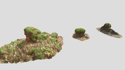 Swamp Tree Moss Stumps Scan tree, plant, set, dead, pack, collection, wet, leaf, round, realistic, water, nature, stump, mossy, swamp, roots, highress, photoscan, 3d, blender, pbr, model, scan, landescape