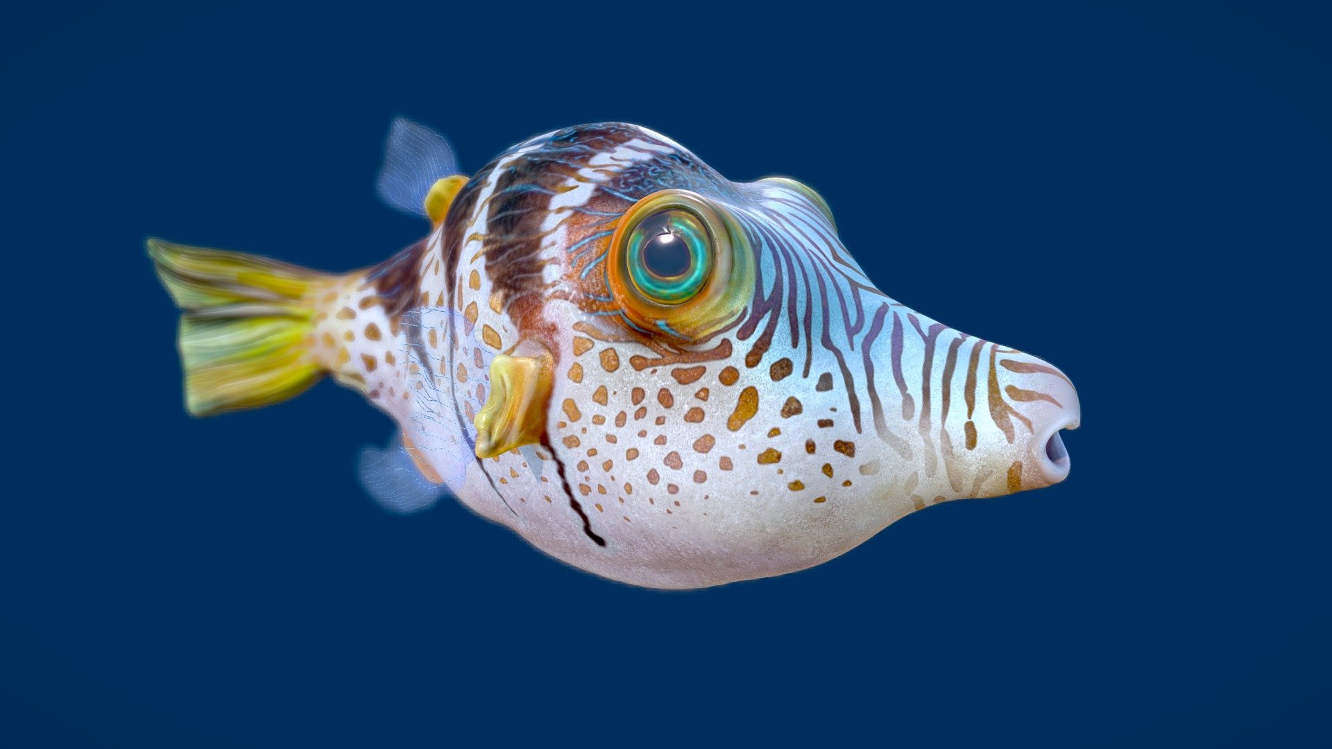 I saw one in Madagacar this summer, it's got a cute and funny cartoon face with amazing colors so I really had to do one in 3D to work texturing! =D

I leave you swim with him

https://www.artstation.com/artwork/Dl5GR - Valentinni's sharpnose puffer - Buy Royalty Free 3D model by zag_girard 3d model