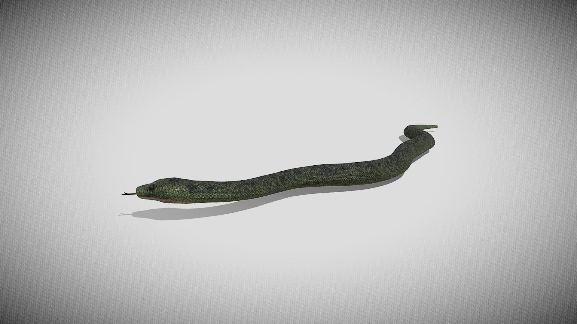 This is a 3d Anaconda snake with PBR textures and 19 different animations, with most of the animations you might need in a game. Efficiently made with only 5221 triangles 3d model