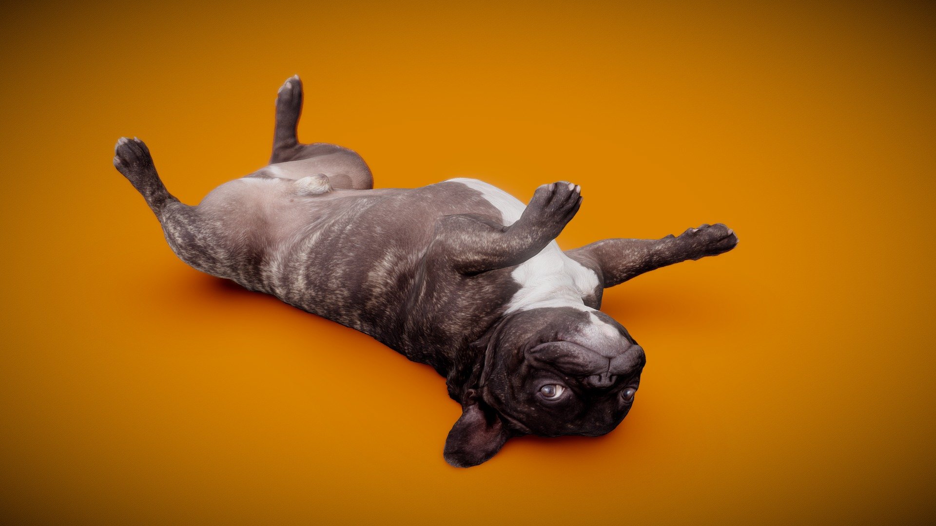 3d-dog-scan using photogrammetry technique // more poses and packages avaiable https://skfb.ly/o9p9z




4K DiffuseColorTexture

real scale

3d-ScanService: https://www.optimission.de - DOG B - 1of13 - for free - Download Free 3D model by Frank.Zwick (@Frank_Zwick) 3d model