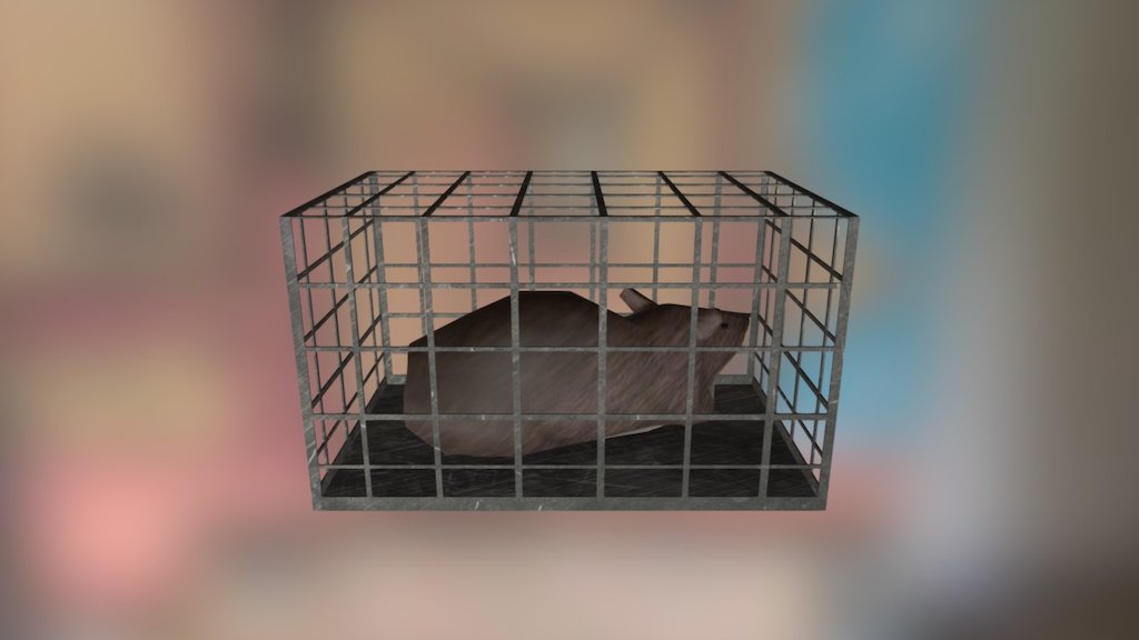 Animal Cage - 3D model by Dodtt 3d model