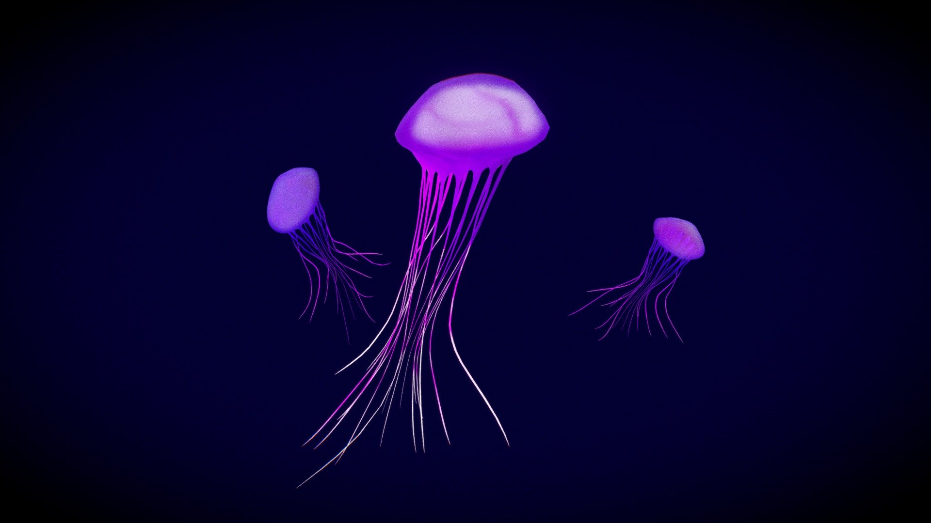 A Group of Several Jellyfish 3d model