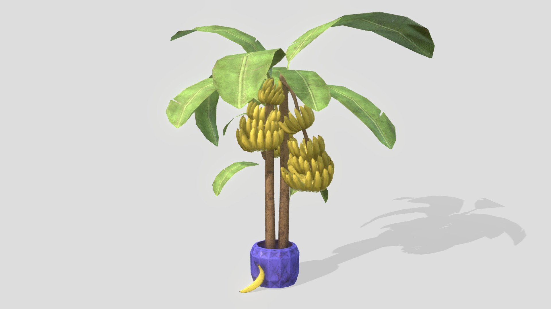 With one of these in your kitchen, there's always a banana at hand.


Sketchfab Weekly Challenge Week 28 - Banana Tree - Download Free 3D model by Duznot (@duz_vr) 3d model