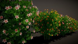 Flowering Vines/Ivy ivy, vines, collection, assetpack, flowering, clump, flower-pot, flowering-plant, vines-climbing-plants, ivy-covered