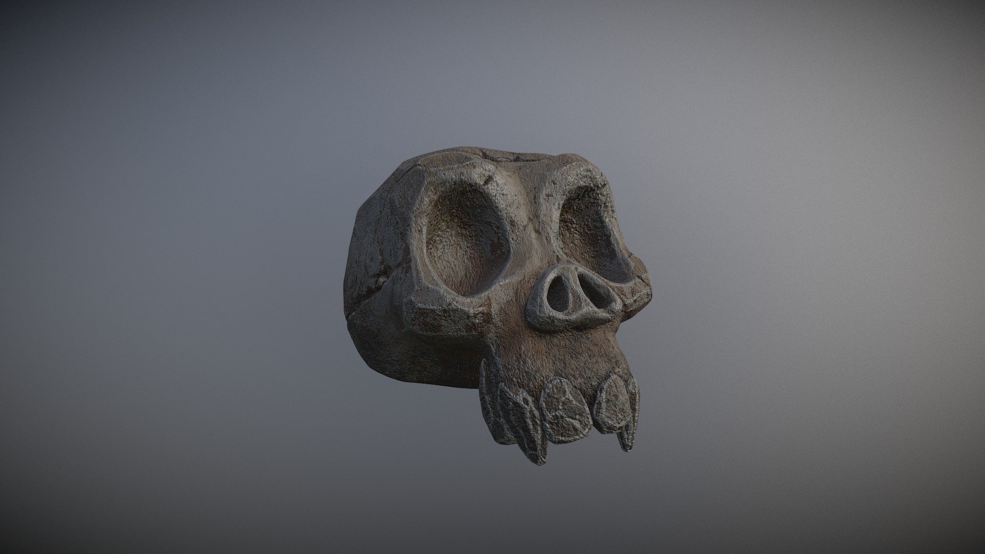 An old stone skull sculpted in ZBrush, textured in substance painter - Stone skull - 3D model by Bojan Tomic (@anthorax) 3d model