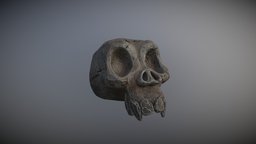 Stone skull