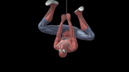 Spider-Man Upside down Model
