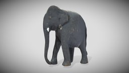Wooden Elephant quad, elephant, toy, pbr