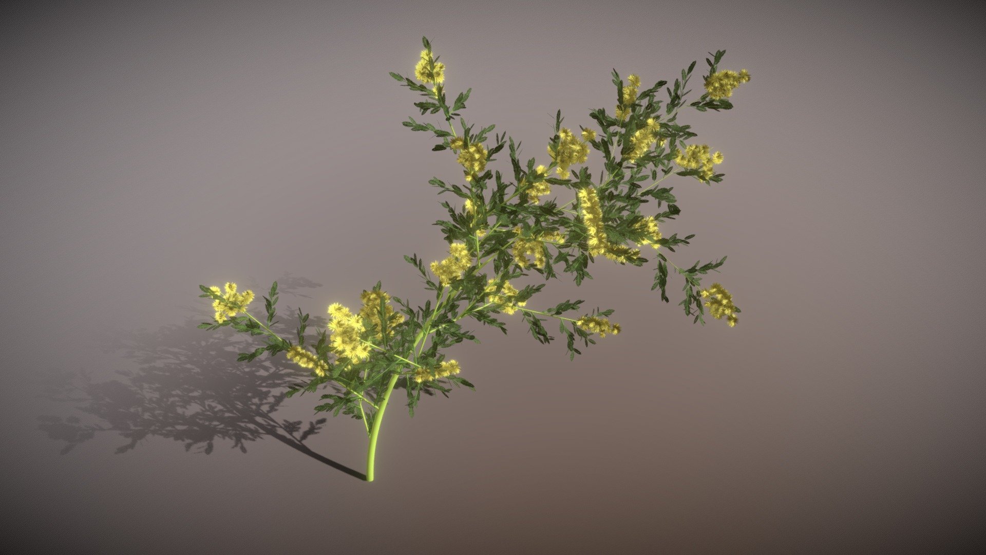 Part of a several experiments with creating blossom branches with growfx 3d model