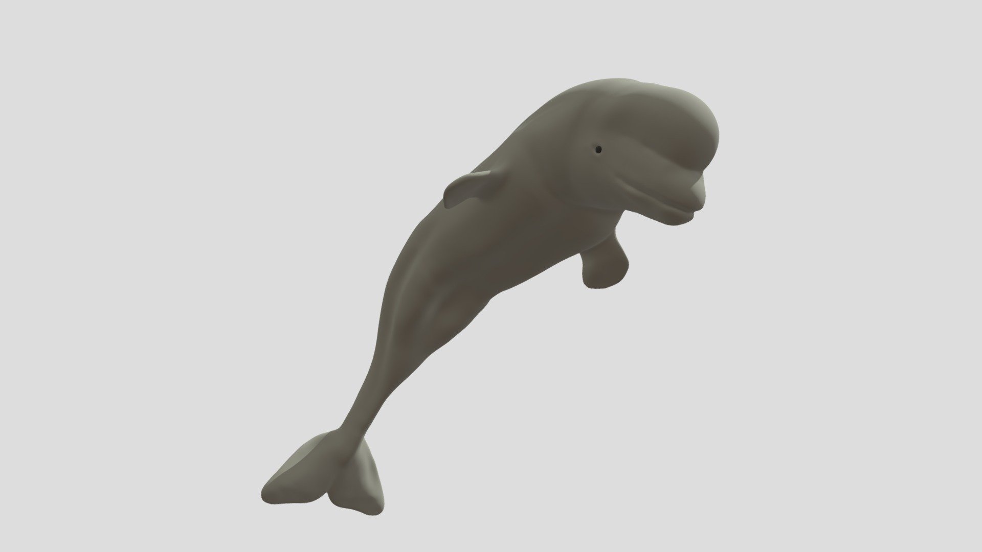 beluga whale - Download Free 3D model by Rabbit (@r4bbit4rabbit) 3d model