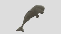 beluga whale cute, speedsculpt, whale, beluga-whale, animal